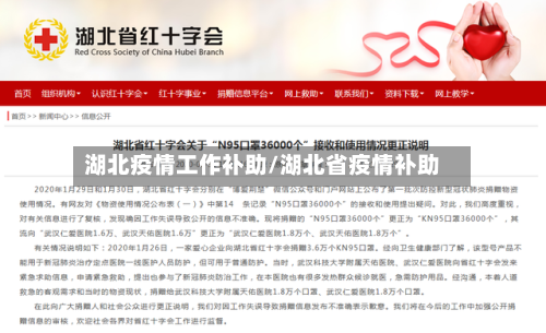 湖北疫情工作补助/湖北省疫情补助