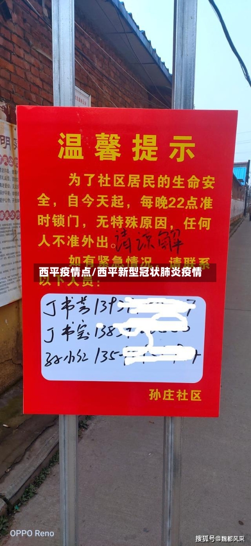 西平疫情点/西平新型冠状肺炎疫情