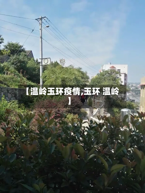 【温岭玉环疫情,玉环 温岭】