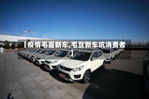 【疫情毛豆新车,毛豆新车坑消费者】-第2张图片