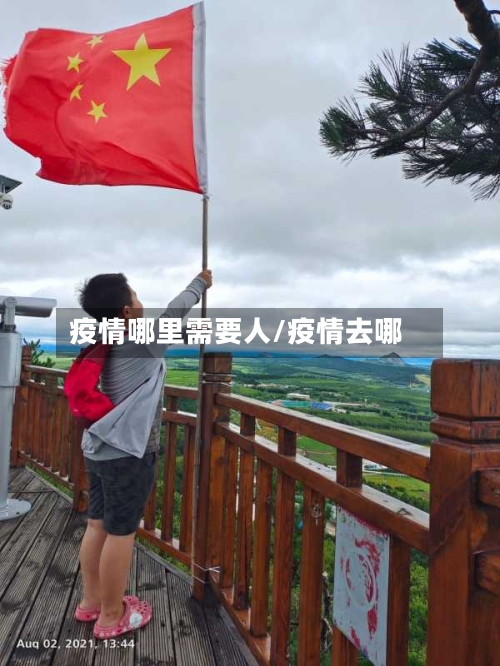 疫情哪里需要人/疫情去哪-第2张图片
