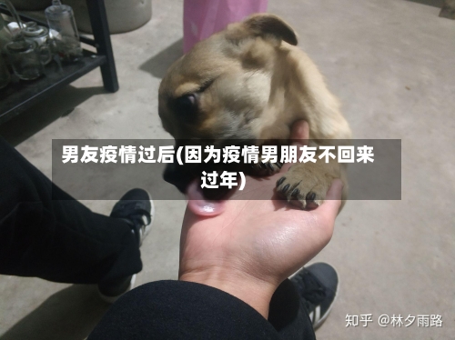 男友疫情过后(因为疫情男朋友不回来过年)-第2张图片