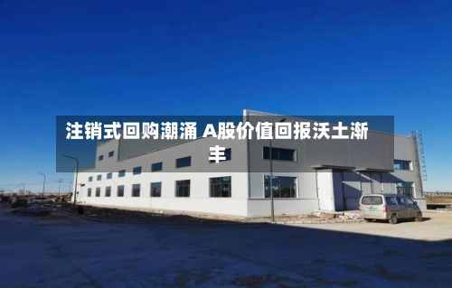 注销式回购潮涌 A股价值回报沃土渐丰-第3张图片