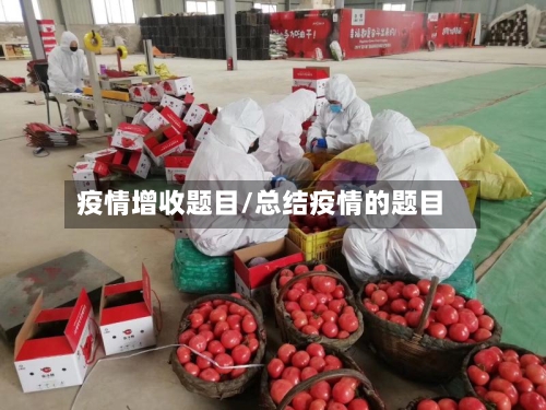 疫情增收题目/总结疫情的题目