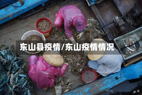 东山县疫情/东山疫情情况