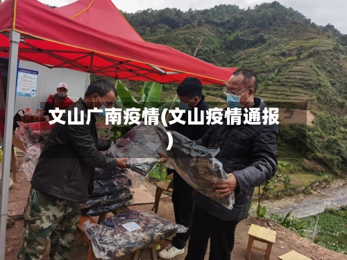 文山广南疫情(文山疫情通报)
