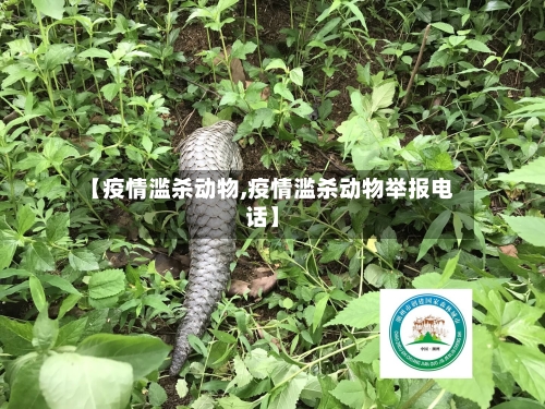 【疫情滥杀动物,疫情滥杀动物举报电话】-第2张图片