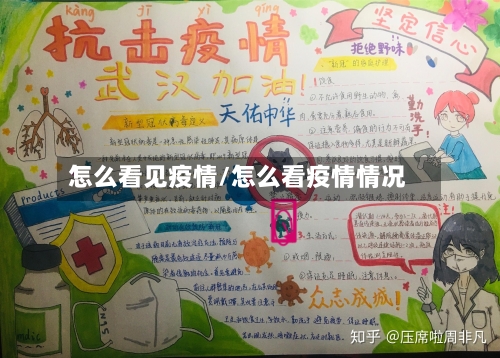 怎么看见疫情/怎么看疫情情况