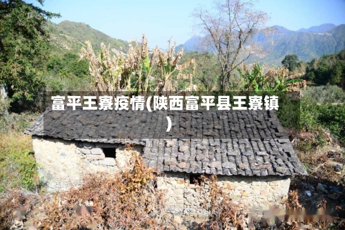 富平王寮疫情(陕西富平县王寮镇)
