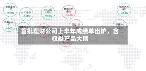 首批理财公司上半年成绩单出炉，含权类产品大增
