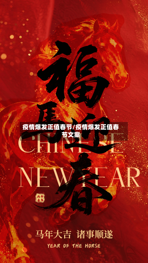 疫情爆发正值春节/疫情爆发正值春节文案-第2张图片