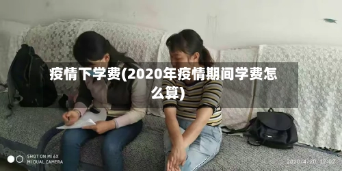 疫情下学费(2020年疫情期间学费怎么算)-第2张图片