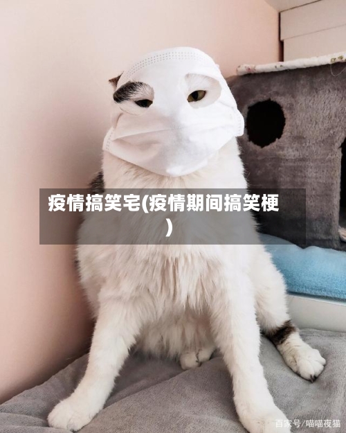 疫情搞笑宅(疫情期间搞笑梗)-第2张图片