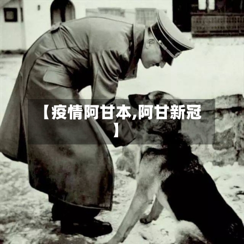 【疫情阿甘本,阿甘新冠】