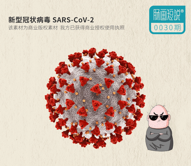 动态看疫情/疫情动态在哪里查看-第2张图片