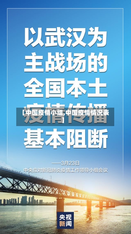【中国疫情小组,中国疫情情况表】