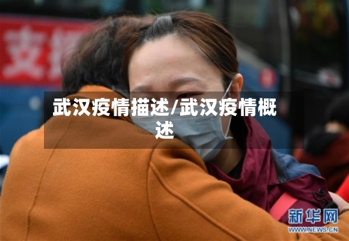 武汉疫情描述/武汉疫情概述