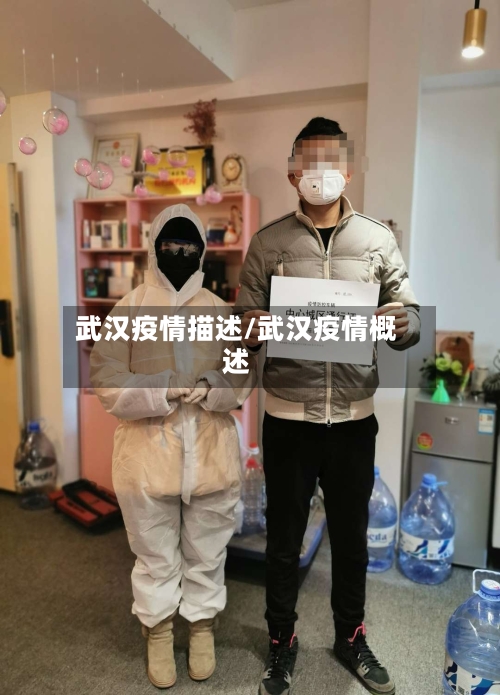 武汉疫情描述/武汉疫情概述-第2张图片