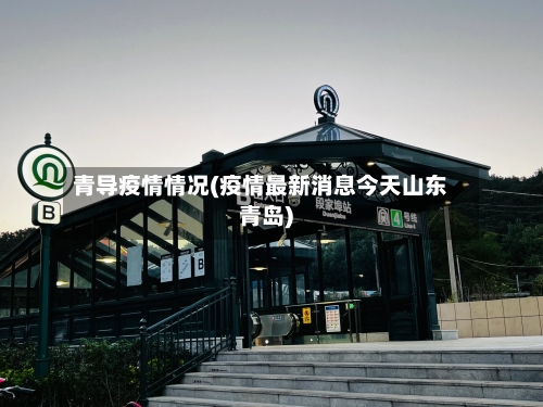 青导疫情情况(疫情最新消息今天山东青岛)-第2张图片