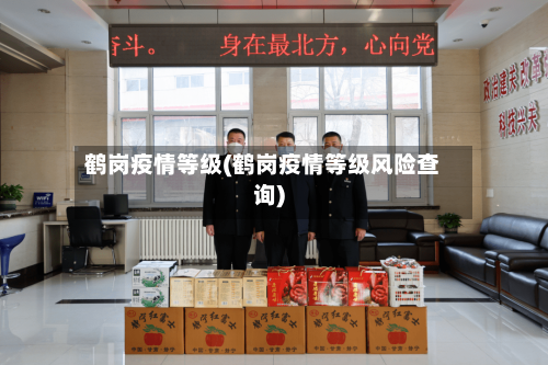 鹤岗疫情等级(鹤岗疫情等级风险查询)-第3张图片
