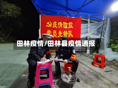 田林疫情/田林县疫情通报