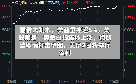 世界油价大跳水，美油重挫超6%，美股期指、黄金白银集体上涨，特朗普取消打击伊朗，美伊3日将举行谈判