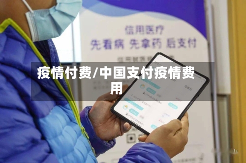 疫情付费/中国支付疫情费用-第2张图片