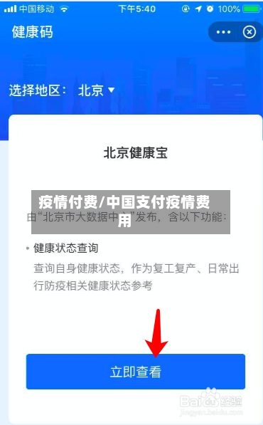 疫情付费/中国支付疫情费用