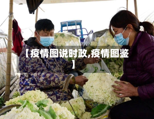 【疫情图说时政,疫情图鉴】-第2张图片