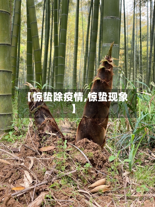 【惊蛰除疫情,惊蛰现象】-第2张图片