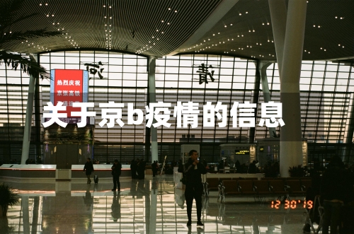 关于京b疫情的信息-第3张图片