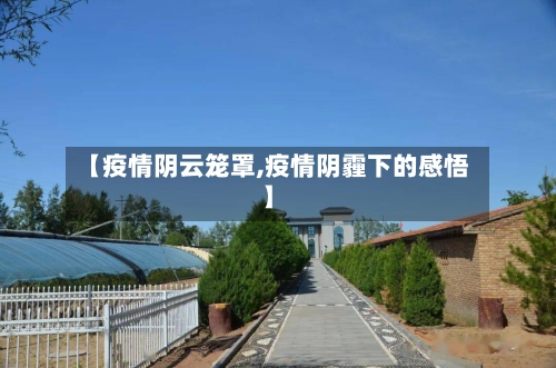 【疫情阴云笼罩,疫情阴霾下的感悟】