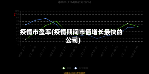 疫情市盈率(疫情期间市值增长最快的公司)