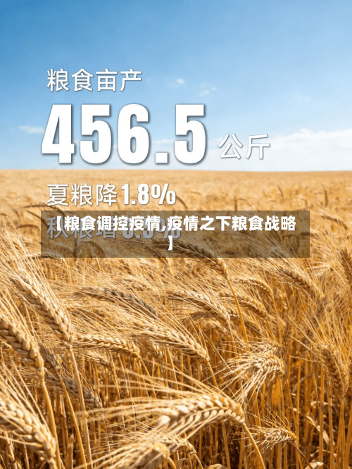 【粮食调控疫情,疫情之下粮食战略】-第2张图片