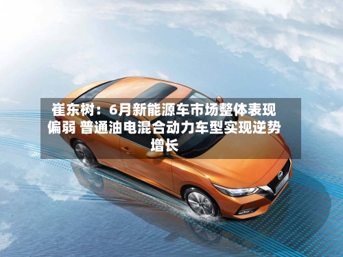 崔东树：6月新能源车市场整体表现偏弱 普通油电混合动力车型实现逆势增长-第2张图片