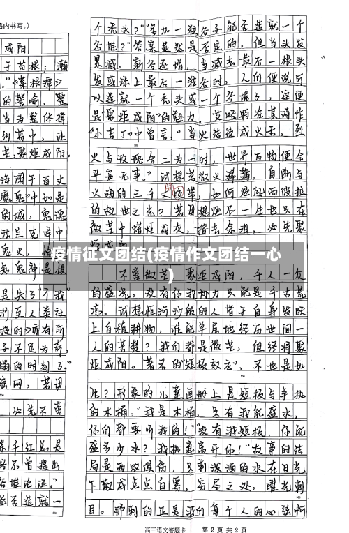 疫情征文团结(疫情作文团结一心)