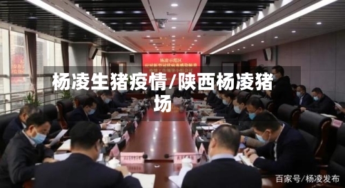杨凌生猪疫情/陕西杨凌猪场-第2张图片