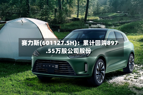 赛力斯(601127.SH)：累计回购897.55万股公司股份