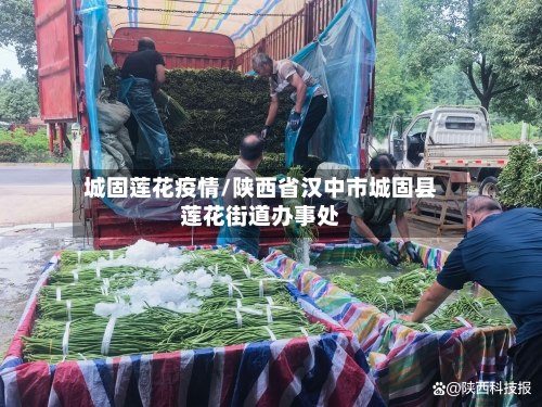 城固莲花疫情/陕西省汉中市城固县莲花街道办事处