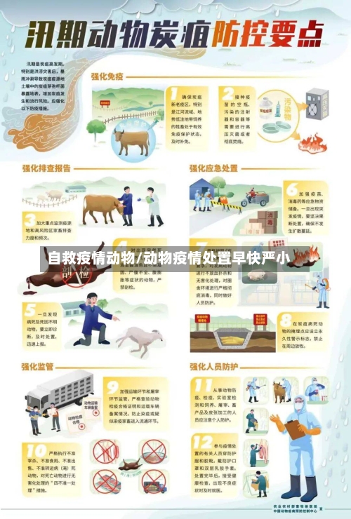 自救疫情动物/动物疫情处置早快严小