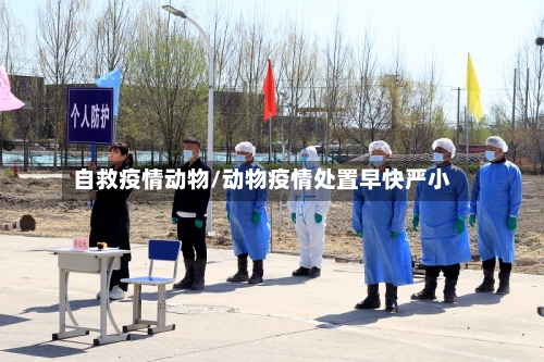 自救疫情动物/动物疫情处置早快严小-第2张图片