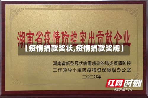 【疫情捐款奖状,疫情捐款奖牌】