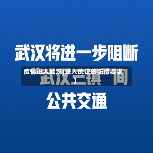 疫情进入武汉(进入武汉的防疫要求)
