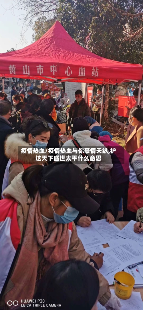 疫情热血/疫情热血与你豪情天纵,护这天下盛世太平什么意思