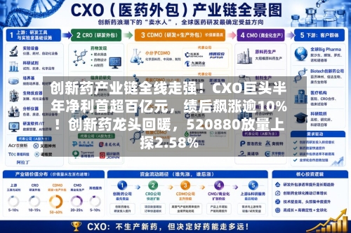 创新药产业链全线走强！CXO巨头半年净利首超百亿元，绩后飙涨逾10%！创新药龙头回暖，520880放量上探2.58%-第2张图片