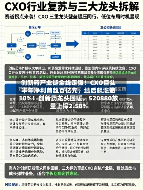 创新药产业链全线走强！CXO巨头半年净利首超百亿元	，绩后飙涨逾10%！创新药龙头回暖，520880放量上探2.58%-第3张图片