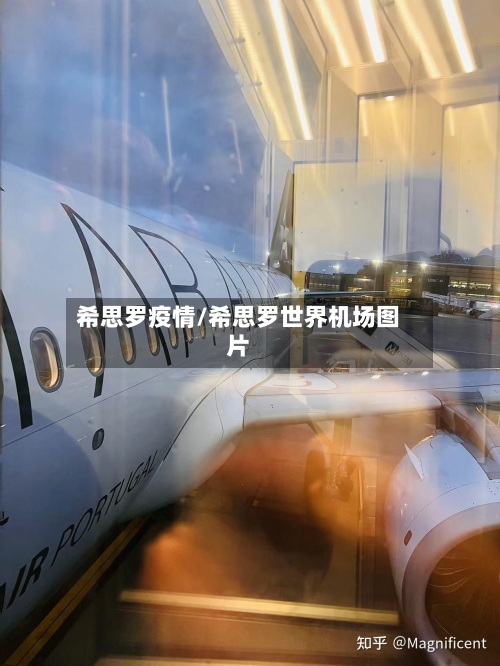 希思罗疫情/希思罗世界机场图片