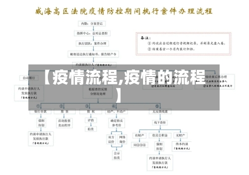 【疫情流程,疫情的流程】