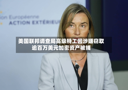 美国联邦调查局高级特工因涉嫌窃取逾百万美元加密资产被捕-第2张图片