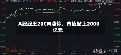 A股股王20CM涨停，市值站上2000亿元-第2张图片
